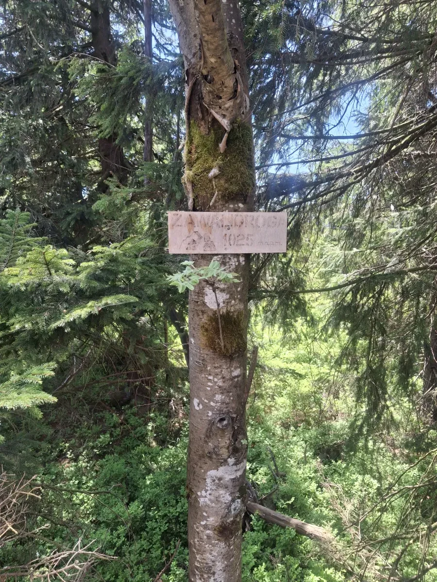 Wysoki Kamień – łatwa i widokowa wycieczka w Górach Izerskich